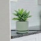 Ceramic-5-inch-Flower-Pots-with-Saucer, Small Planters for Indoor Plants with Drainage Hole, White Textured Vertical Stripe Plant Pots for H