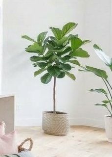 30" Artificial Fiddle Leaf Fig Tree, Realistic Fake Plants Faux Trees Indoor with Cotton Rope Basket, Artificial Plants Indoor for Apartment
